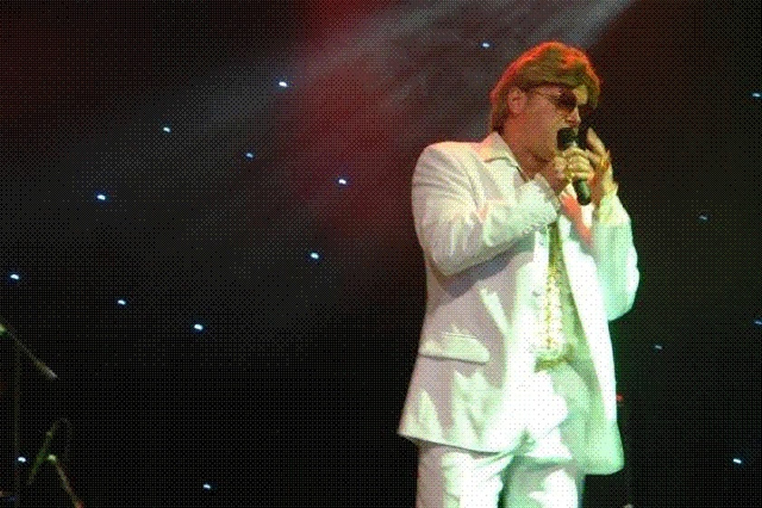 DvhL 2008